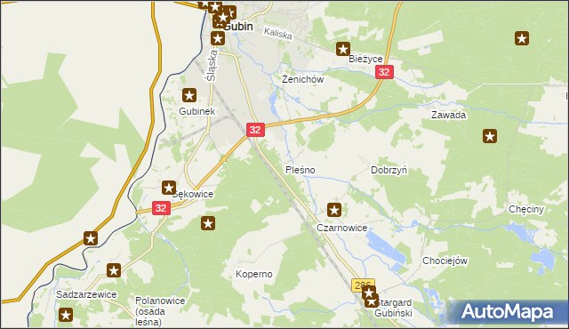 mapa Pleśno gmina Gubin, Pleśno gmina Gubin na mapie Targeo