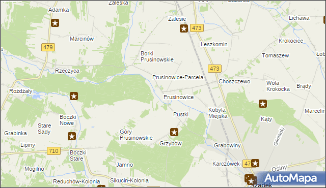 mapa Prusinowice gmina Szadek, Prusinowice gmina Szadek na mapie Targeo
