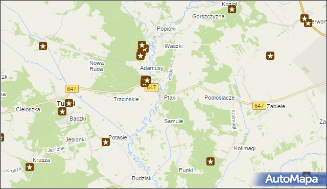 mapa Ptaki gmina Turośl, Ptaki gmina Turośl na mapie Targeo