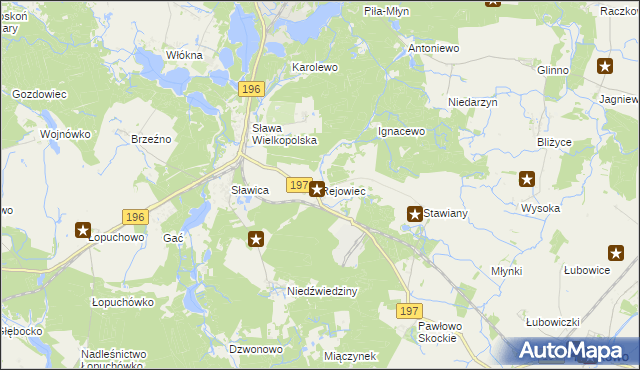 mapa Rejowiec gmina Skoki, Rejowiec gmina Skoki na mapie Targeo