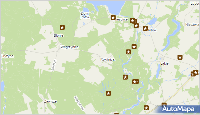 mapa Rokitnica gmina Skąpe, Rokitnica gmina Skąpe na mapie Targeo