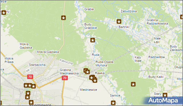 mapa Ruda gmina Skierniewice, Ruda gmina Skierniewice na mapie Targeo