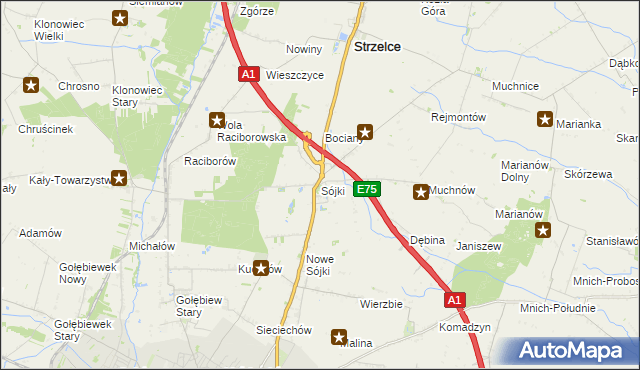 mapa Sójki gmina Strzelce, Sójki gmina Strzelce na mapie Targeo