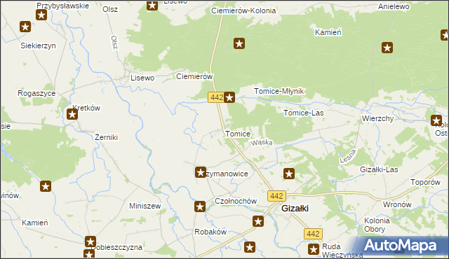 mapa Tomice gmina Gizałki, Tomice gmina Gizałki na mapie Targeo