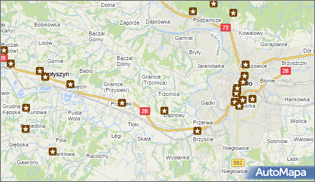 mapa Trzcinica gmina Jasło, Trzcinica gmina Jasło na mapie Targeo