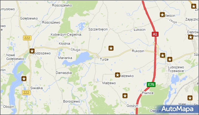 mapa Turze gmina Tczew, Turze gmina Tczew na mapie Targeo