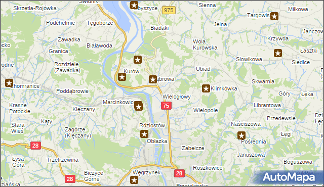 mapa Wielogłowy gmina Chełmiec, Wielogłowy gmina Chełmiec na mapie Targeo