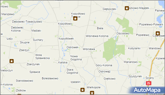 mapa Wiśniewa gmina Wilczyn, Wiśniewa gmina Wilczyn na mapie Targeo