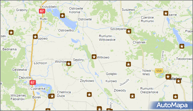 mapa Witkowo gmina Wielgie, Witkowo gmina Wielgie na mapie Targeo