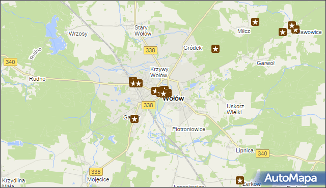 mapa Wołów, Wołów na mapie Targeo