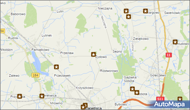 mapa Żydowo gmina Rokietnica, Żydowo gmina Rokietnica na mapie Targeo