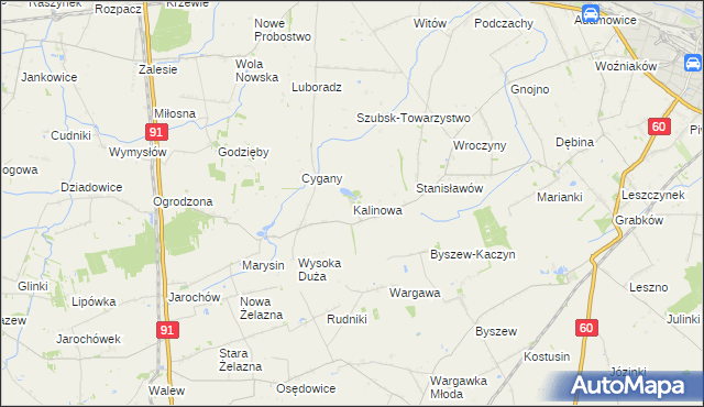 mapa Kalinowa gmina Kutno, Kalinowa gmina Kutno na mapie Targeo