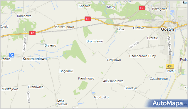 mapa Witoldowo gmina Gostyń, Witoldowo gmina Gostyń na mapie Targeo