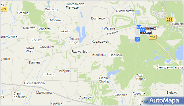 mapa Brzeźniak gmina Golina, Brzeźniak gmina Golina na mapie Targeo