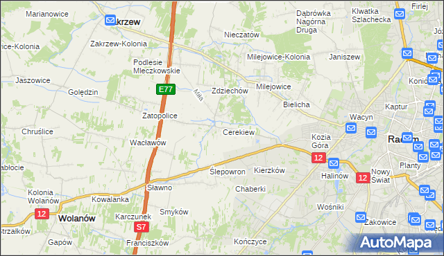 mapa Cerekiew gmina Zakrzew, Cerekiew gmina Zakrzew na mapie Targeo