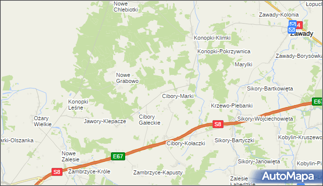 mapa Cibory-Marki, Cibory-Marki na mapie Targeo