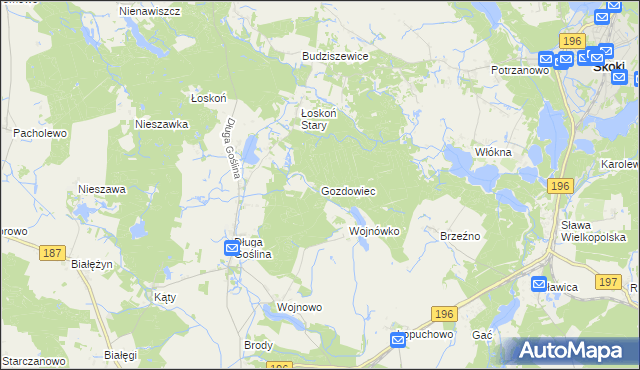 mapa Gozdowiec, Gozdowiec na mapie Targeo