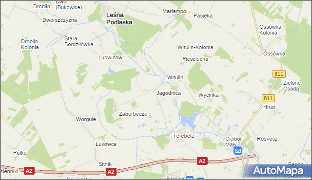 mapa Jagodnica gmina Leśna Podlaska, Jagodnica gmina Leśna Podlaska na mapie Targeo