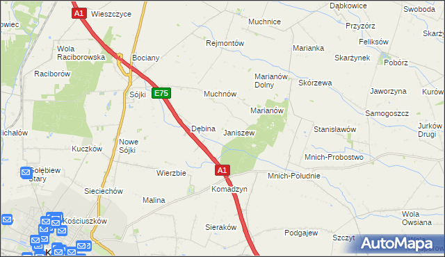 mapa Janiszew gmina Strzelce, Janiszew gmina Strzelce na mapie Targeo