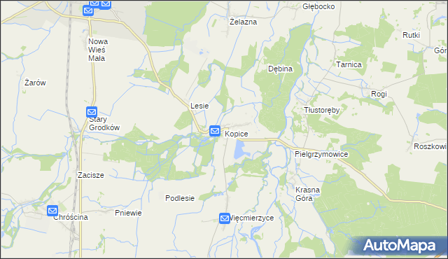 mapa Kopice gmina Grodków, Kopice gmina Grodków na mapie Targeo