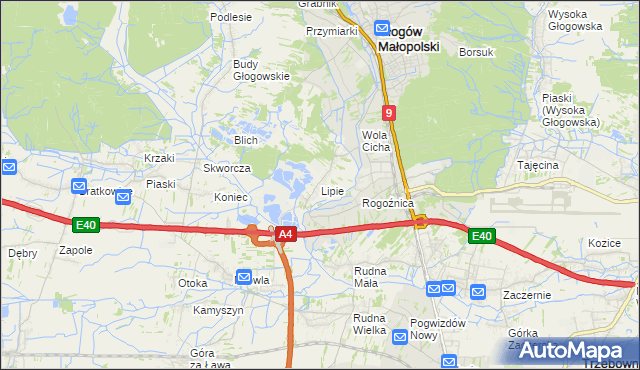 mapa Lipie gmina Głogów Małopolski, Lipie gmina Głogów Małopolski na mapie Targeo