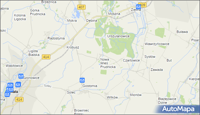 mapa Nowa Wieś Prudnicka, Nowa Wieś Prudnicka na mapie Targeo