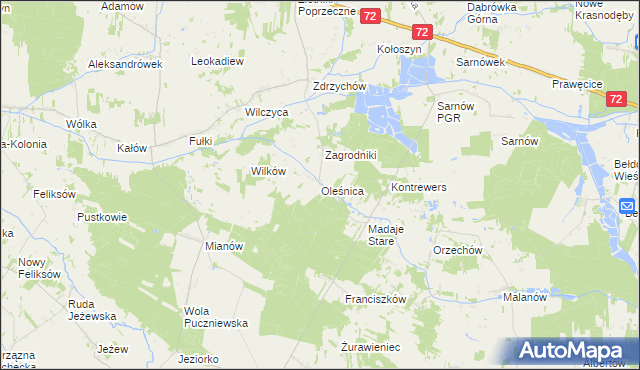 mapa Oleśnica gmina Dalików, Oleśnica gmina Dalików na mapie Targeo