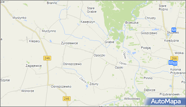 mapa Opoczki, Opoczki na mapie Targeo