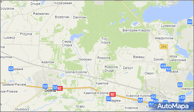 mapa Rosocha gmina Golina, Rosocha gmina Golina na mapie Targeo