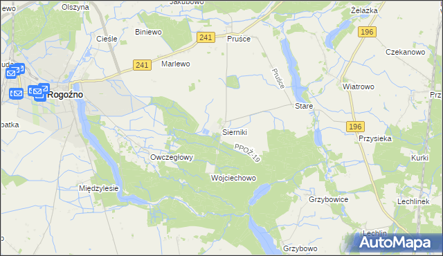 mapa Sierniki gmina Rogoźno, Sierniki gmina Rogoźno na mapie Targeo