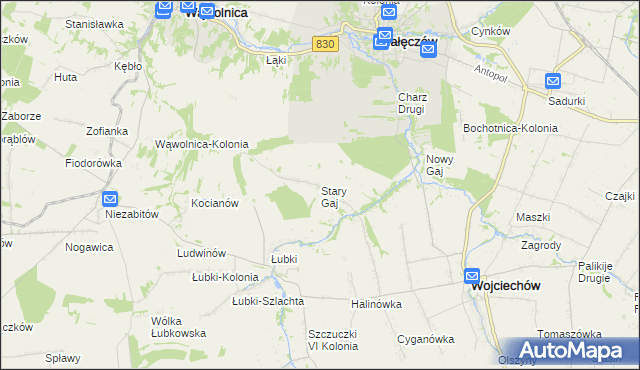 mapa Stary Gaj gmina Wojciechów, Stary Gaj gmina Wojciechów na mapie Targeo