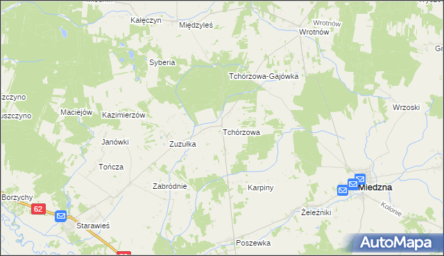 mapa Tchórzowa, Tchórzowa na mapie Targeo