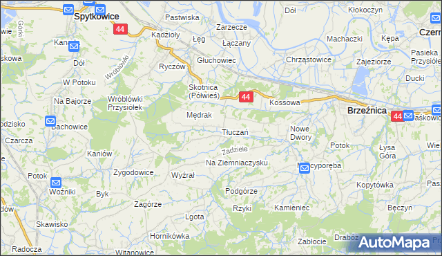 mapa Tłuczań, Tłuczań na mapie Targeo