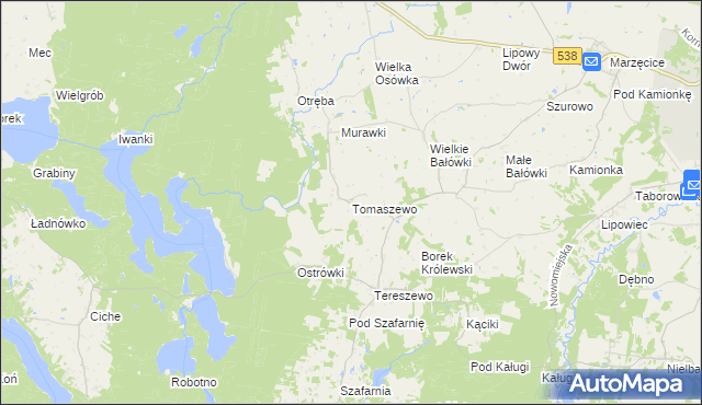 mapa Tomaszewo gmina Kurzętnik, Tomaszewo gmina Kurzętnik na mapie Targeo