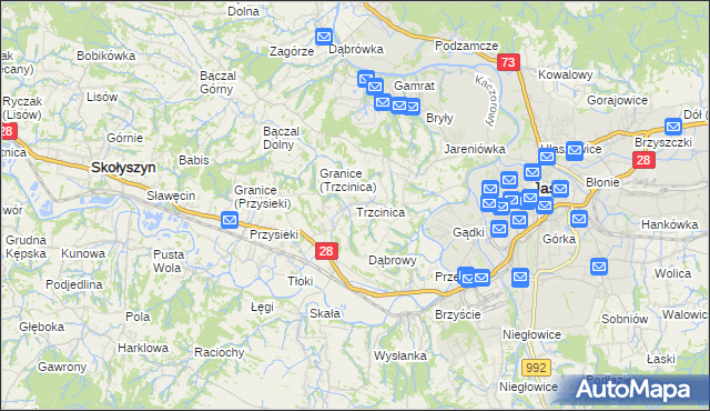 mapa Trzcinica gmina Jasło, Trzcinica gmina Jasło na mapie Targeo
