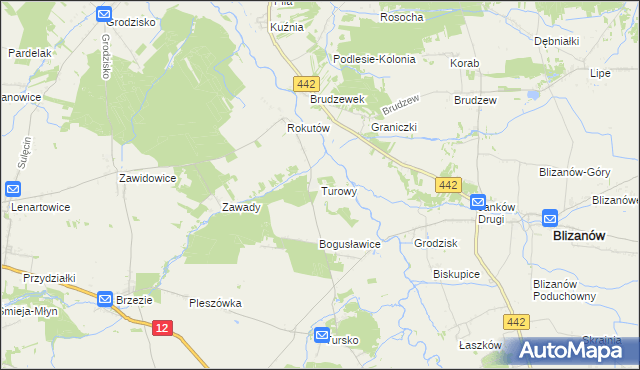 mapa Turowy, Turowy na mapie Targeo