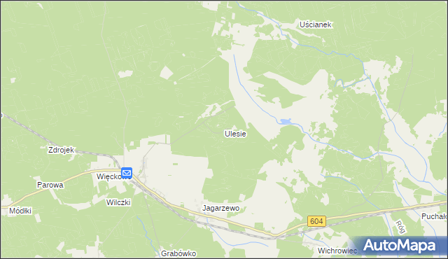 mapa Ulesie gmina Janowo, Ulesie gmina Janowo na mapie Targeo
