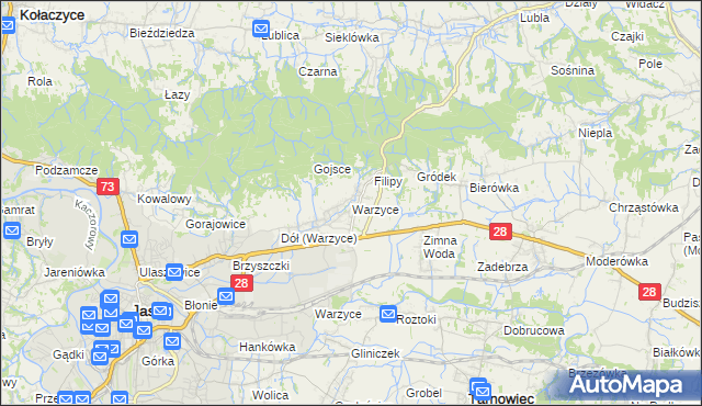 mapa Warzyce, Warzyce na mapie Targeo