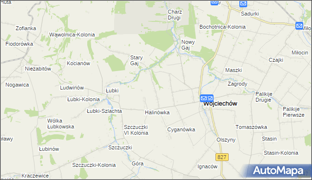 mapa Wojciechów-Kolonia Pierwsza, Wojciechów-Kolonia Pierwsza na mapie Targeo