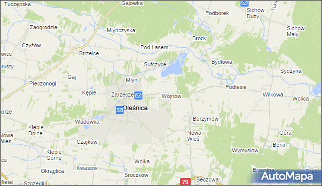 mapa Wojnów gmina Oleśnica, Wojnów gmina Oleśnica na mapie Targeo