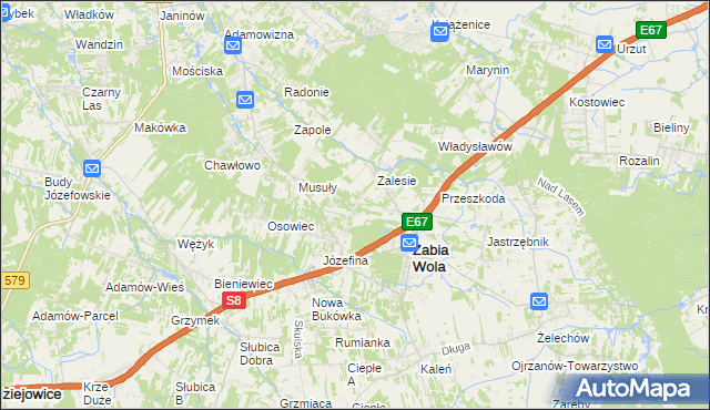 mapa Wycinki Osowskie, Wycinki Osowskie na mapie Targeo