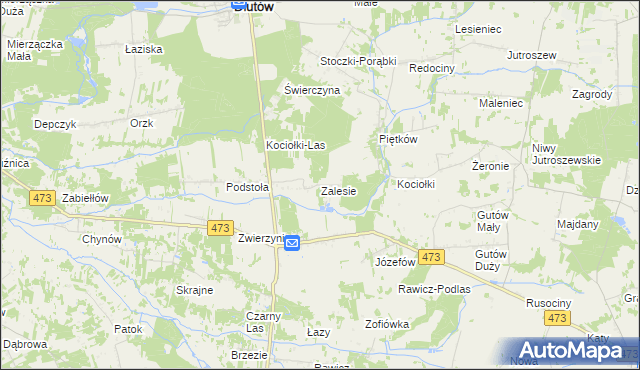 mapa Zalesie gmina Drużbice, Zalesie gmina Drużbice na mapie Targeo