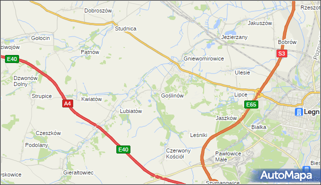 mapa Goślinów, Goślinów na mapie Targeo