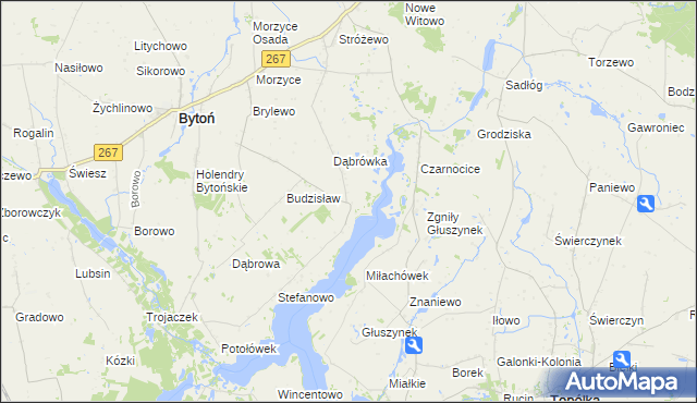 mapa Głuszyn gmina Bytoń, Głuszyn gmina Bytoń na mapie Targeo