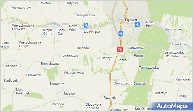 mapa Gruszczyn gmina Lipsko, Gruszczyn gmina Lipsko na mapie Targeo