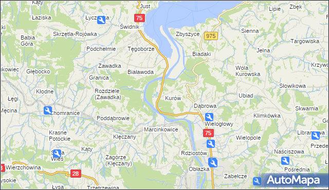 mapa Kurów gmina Chełmiec, Kurów gmina Chełmiec na mapie Targeo