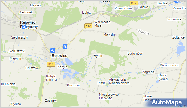 mapa Rybie gmina Rejowiec, Rybie gmina Rejowiec na mapie Targeo