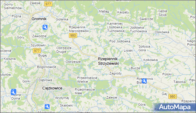 mapa Rzepiennik Strzyżewski, Rzepiennik Strzyżewski na mapie Targeo