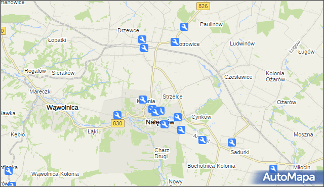 mapa Strzelce gmina Nałęczów, Strzelce gmina Nałęczów na mapie Targeo