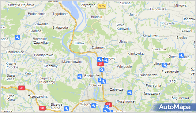 mapa Wielogłowy gmina Chełmiec, Wielogłowy gmina Chełmiec na mapie Targeo